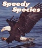 Speedy Species ( Rourke Nonfiction Skill Builders )