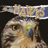 Hawks ( Raptors )