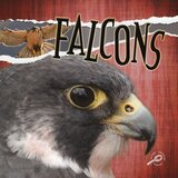 Falcons ( Raptors )