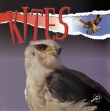 Kites ( Raptors )