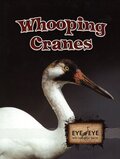 Whooping Cranes ( Eye to Eye With Endangered Species )