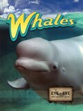 Whales ( Eye to Eye With Endangered Species )
