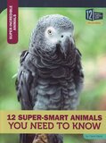 12 Super Smart Animals You Need to Know ( Super Incredible Animals )
