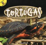 Tortugas ( Turtles ) ( Lectores Preparados: Reptiles! )
