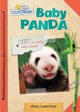 Baby Panda (Active Minds Explorers: Baby Animals)