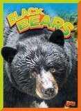 Black Bears ( Wild Animal Kingdom )