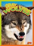 Gray Wolves ( Wild Animal Kingdom )