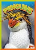 Penguins ( Wild Animal Kingdom )