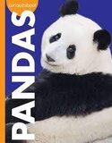 Pandas ( Curious about Wild Animals )