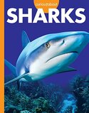 Sharks ( Curious about Wild Animals )