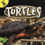 Turtles ( Ready Readers: Reptiles! )