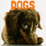 Dogs ( Animal Lovers ) (Board Book)