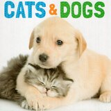 Cats and Dogs ( Animal Lovers ) (Board Book)