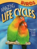 Birds ( Amazing Life Cycles )