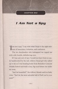 Spy to the Rescue (Bridget Wilder #02)