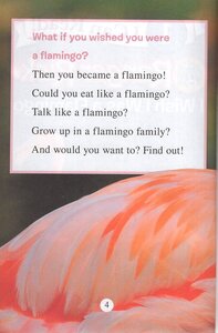 I Wish I Was a Flamingo (Ranger Rick) (I Can Read Level 1)