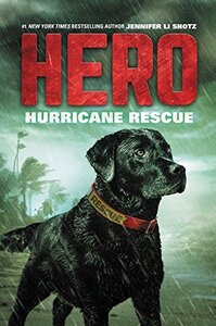 Hurricane Rescue ( Hero #02 )