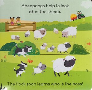 On the Farm: A Push And Pull Adventure (Little World) (Board Book)