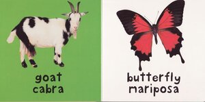 Animals / Animales ( Bright Baby Board Book Bilingual )