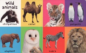 First 100 Animals (First 100...) (Padded Board Book)