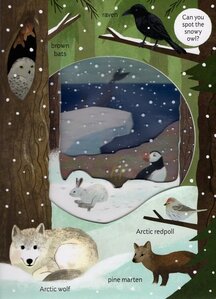 Into the Arctic ( With Transparent Pages ) ( Look Closer ) ( Board Book )
