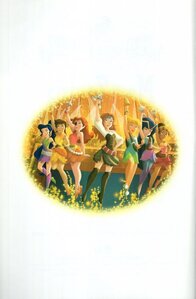 Meet Zarina the Pirate Fairy (Disney Fairies) (Passport to Reading Level 1)