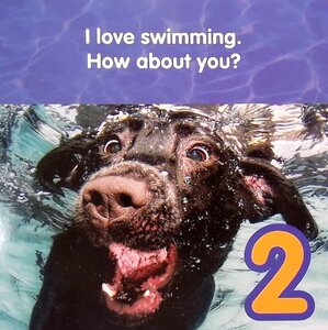 Underwater Doggies 1 2 3 (Board Book)