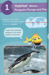 Penguins! (Splash and Bubbles) (Ocean Science Reader Level 2)