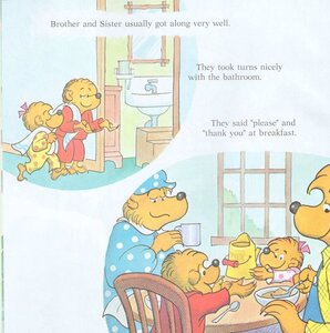 Berenstain Bears Get in a Fight (Berenstain Bears First Time Books)