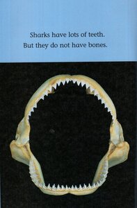 Sharks (Scholastic Science Reader Level 1)