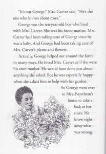 Who Was George Washington Carver? (Who Was...?)