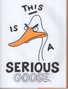 Serious Goose