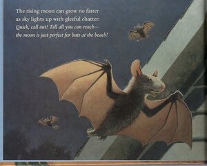 Bats at the Beach (Bat Book) (Hardcover)