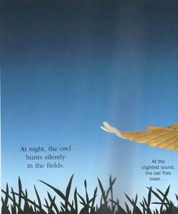 Night Creatures (First Discovery Book) (Paperback)