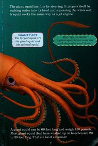 Whale vs Giant Squid (Who Would Win?)
