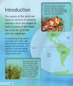 Ocean (Lifecycles) (Scholastic) (Paperback)