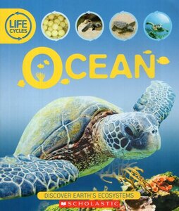 Ocean ( Lifecycles ) (Scholastic) (Paperback)
