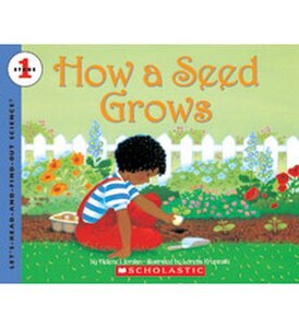 How a Seed Grows ( Let's Read And Find Out Science Stage 1 ) (Scholastic)