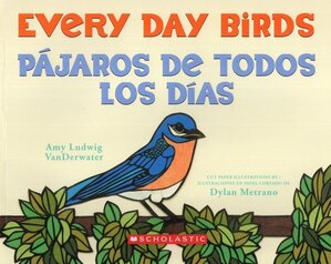 Every Day Birds / Pájoros de todos los días
