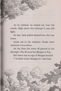 Night of the Ninjas (Magic Tree House #05)