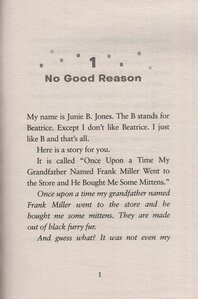 Junie B Jones Is Not a Crook (Junie B Jones #09)