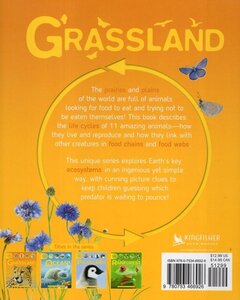 Grassland (Lifecycles) (Hardcover)