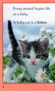 Baby Animals (Kingfisher Readers Level 1) (Paperback)