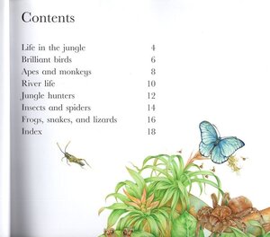 Jungle Animals (Flip the Flaps) (Paperback)