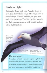 Flight ( Kingfisher Readers Level 4 )