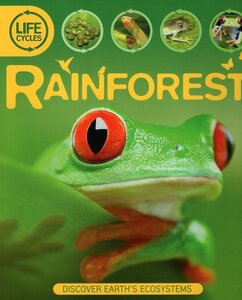 Rainforest ( Lifecycles )