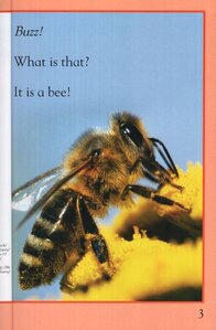Busy as a Bee (Kingfisher Readers Level 1) (Paperback)