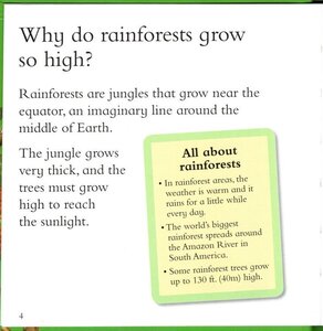 I Wonder Why Rainforests Grow So High (I Wonder Why Question Express)