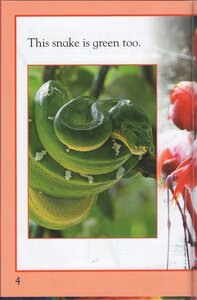 Animal Colors (Kingfisher Readers Level 1) (Hardcover)