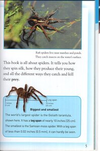 Spiders: Deadly Predators (Kingfisher Readers Level 4) (Hardcover)